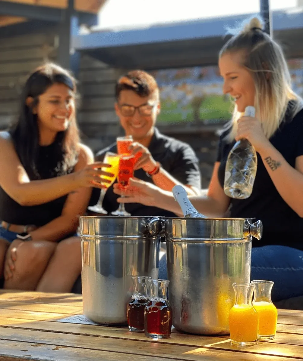 Champagne buckets and juice carafes on patio table with guests