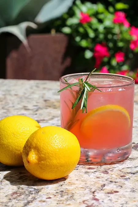 Pink drink with lemon and rosemary, lemons on stone, green foliage.