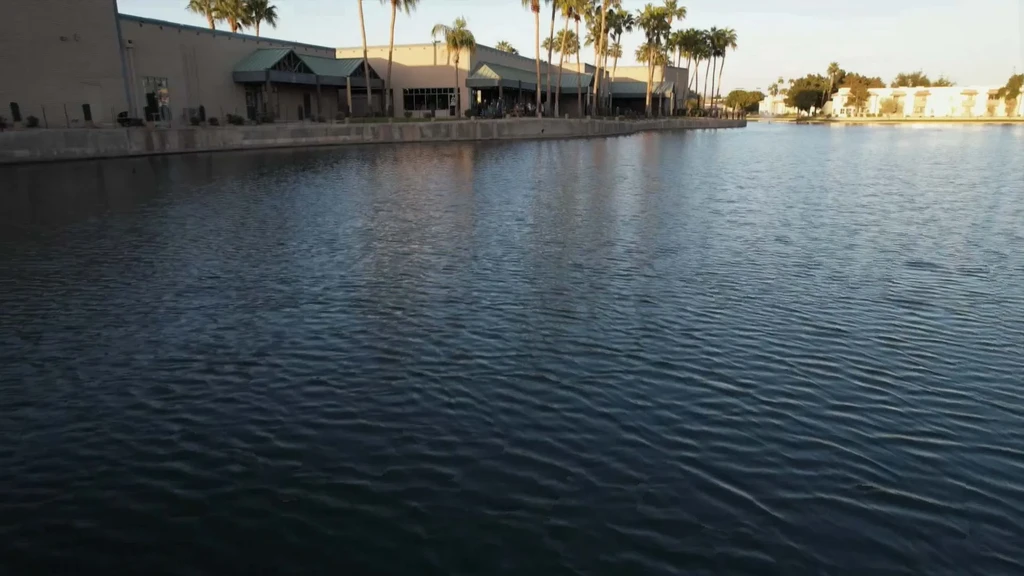 Waterfront commercial buildings and palm trees beside rippling blue-grey water.