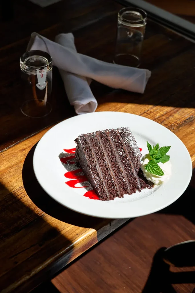 Slice of dark chocolate cake with berry sauce, whipped cream, and mint.