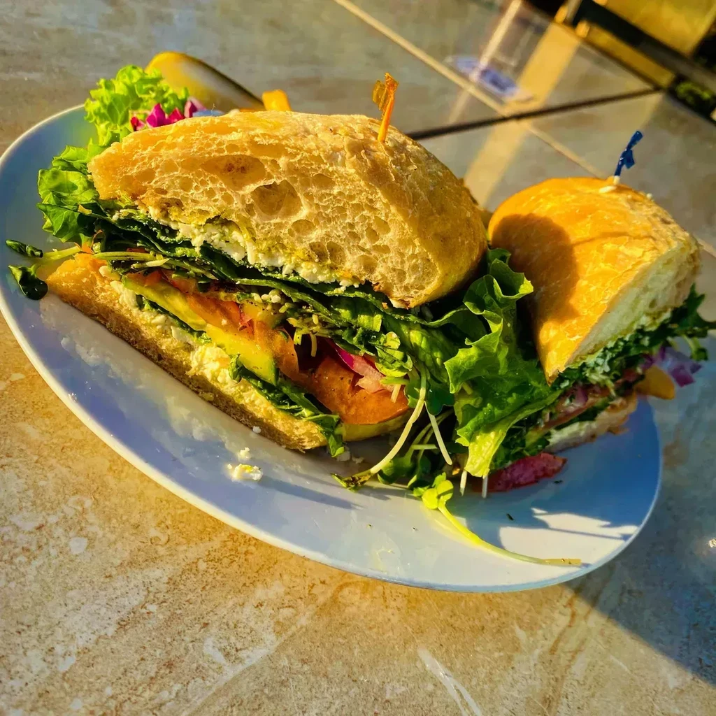 Ciabatta sandwich with lettuce, avocado, onion, and white cheese, cut in half.