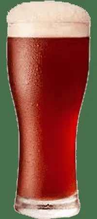 Tall glass of reddish-brown beer with creamy foam and condensation.
