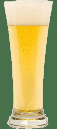 Tall pilsner glass filled with golden beer and thick white foam.