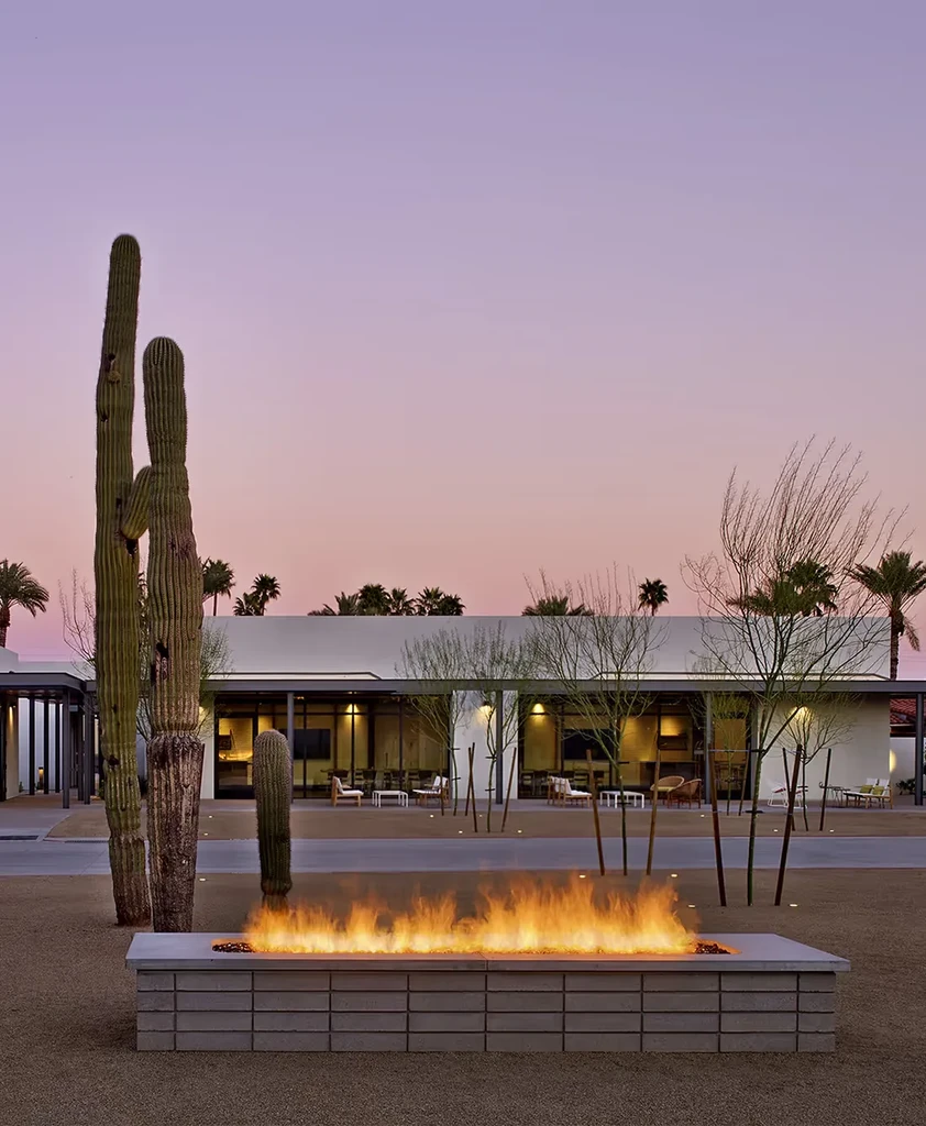 Modern fire pit at twilight with saguaro cacti and desert landscape.
