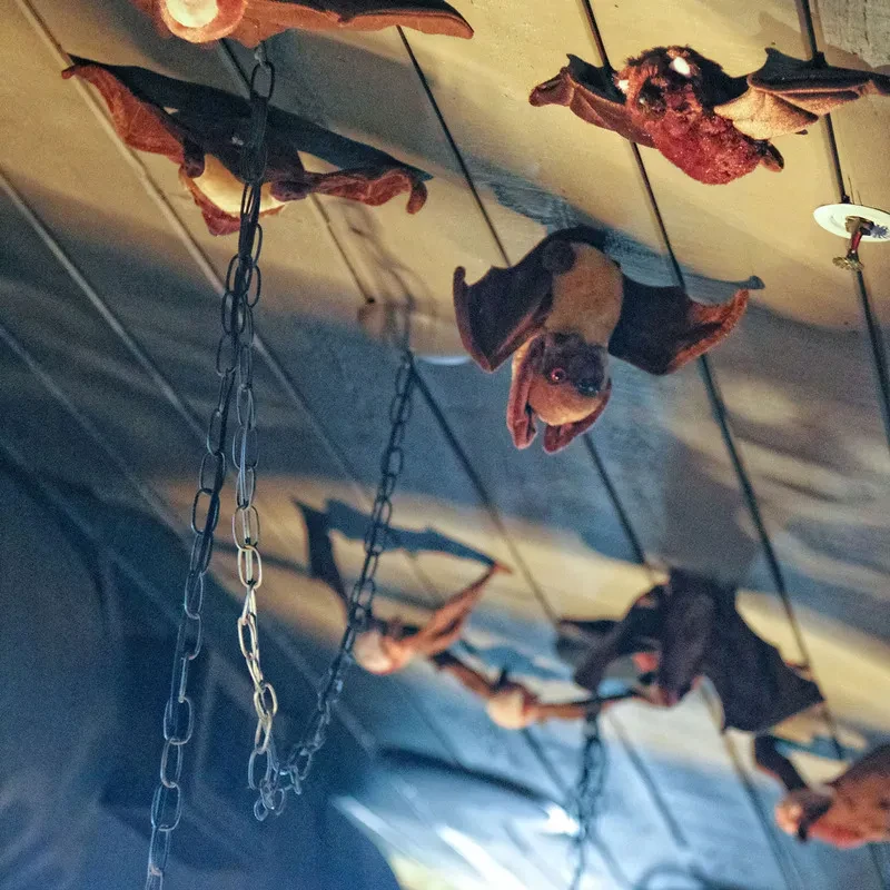 Decorative bats hang upside down from a wooden ceiling by chains.