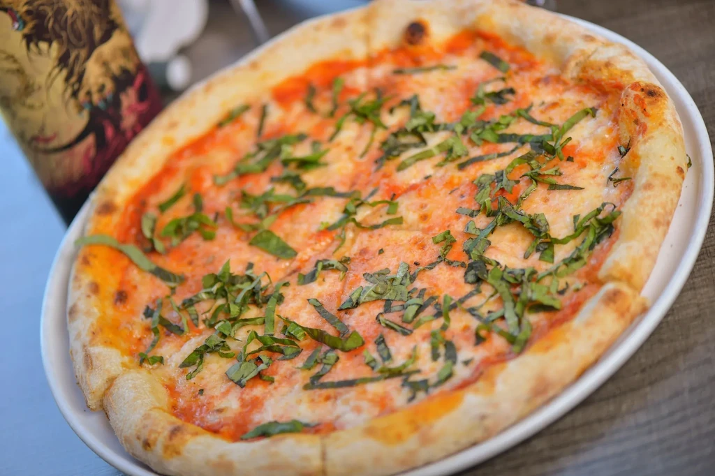 Freshly baked Neapolitan pizza with basil, mozzarella, and charred crust.