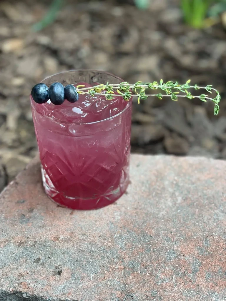 Purplish-red cocktail with ice, blueberries, and herb sprig on stone.