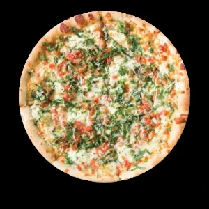 Overhead pizza: melted cheese, green herbs, diced tomatoes, crisp golden crust.