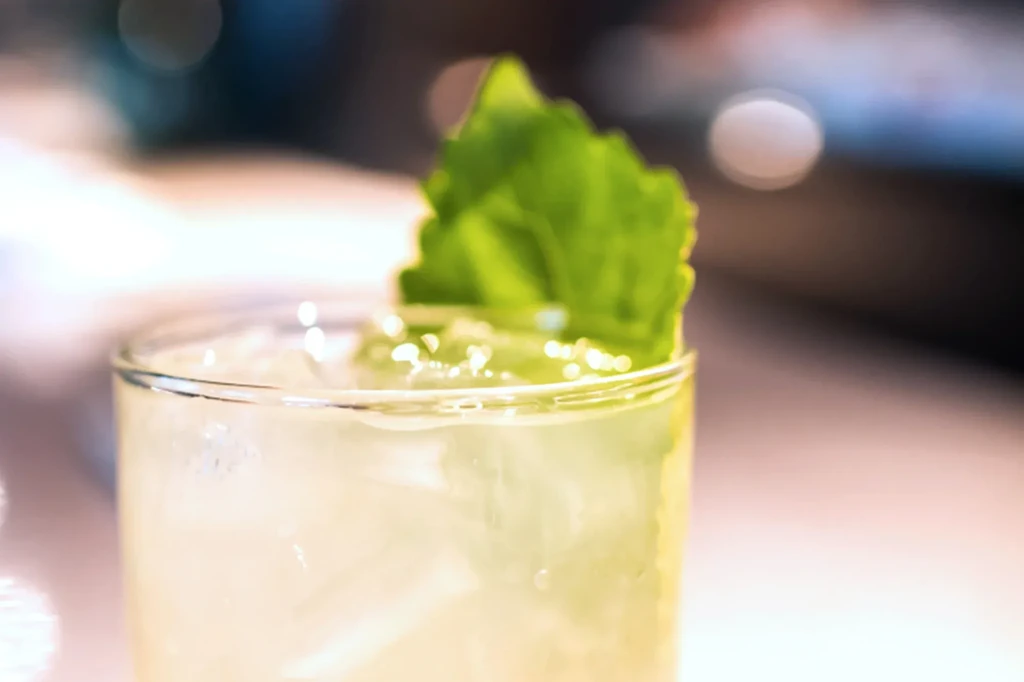 Close-up: Clear glass with iced drink and mint leaf garnish.