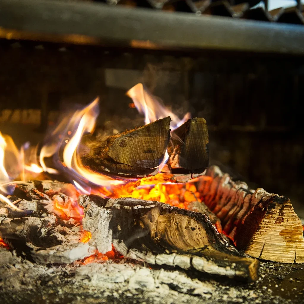 Close-up of burning wood logs, orange flames, and glowing embers.