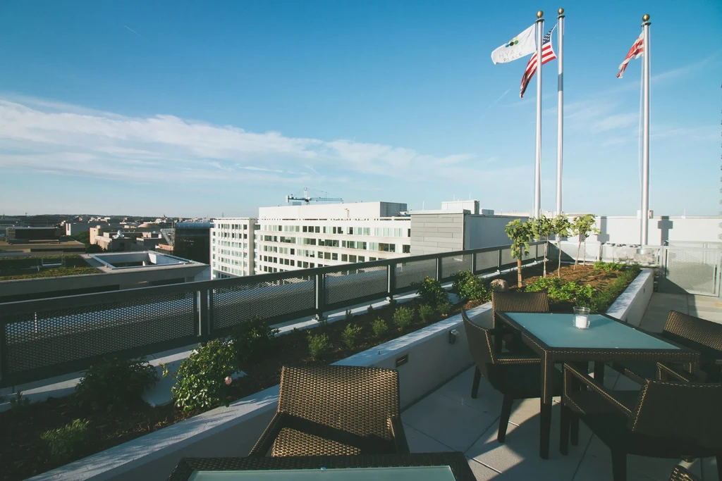 Rooftop terrace with wicker seating, lush plants, cityscape, and three flags.