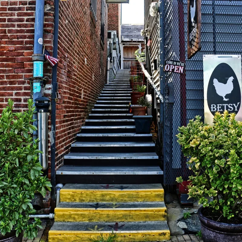 Narrow alley with steep yellow and gray stairs, plants, and signs.