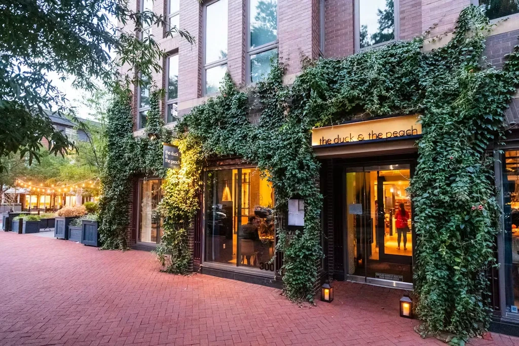 Exterior of ivy-covered 'the duck & the peach' restaurant, lit warmly at dusk.
