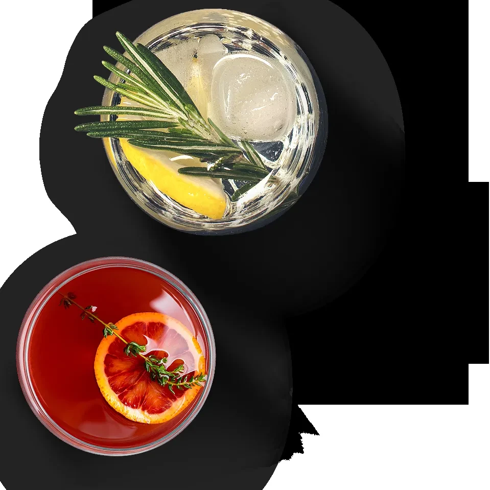 Two garnished cocktails, clear and reddish-orange, on a black background.