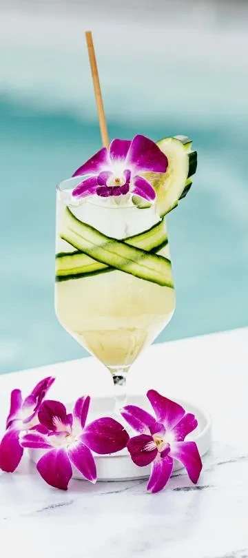 Drink with cucumber, purple orchid, bamboo straw, and blurred blue background.