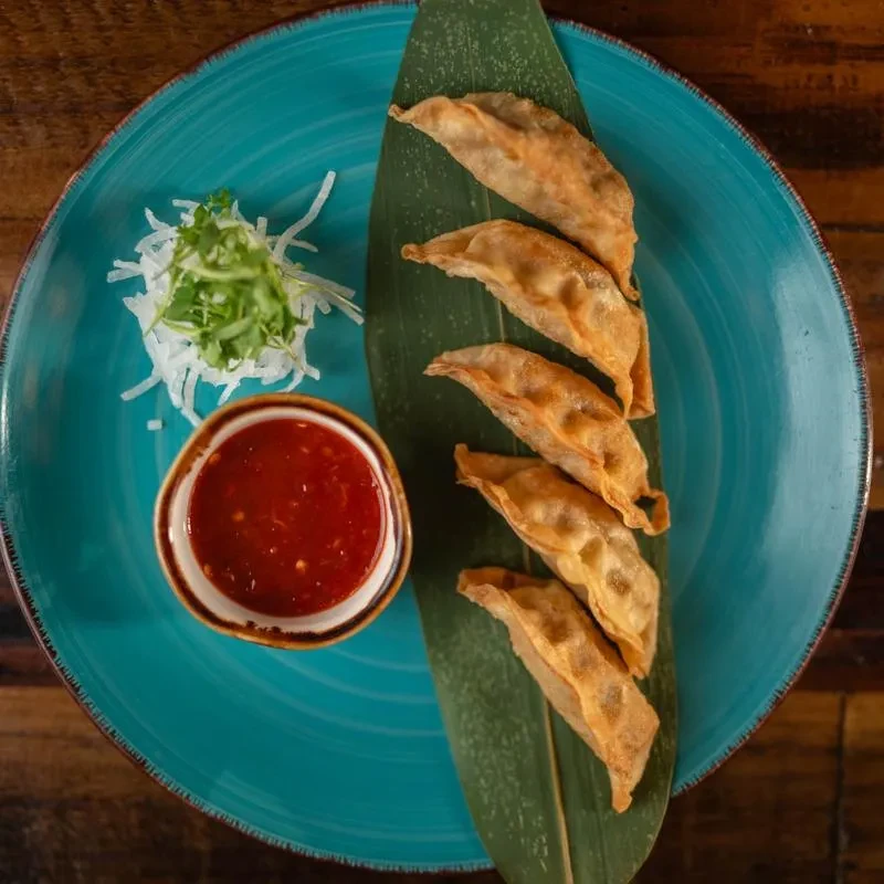Golden-brown pan-fried dumplings, chili sauce, and garnish on a blue plate.