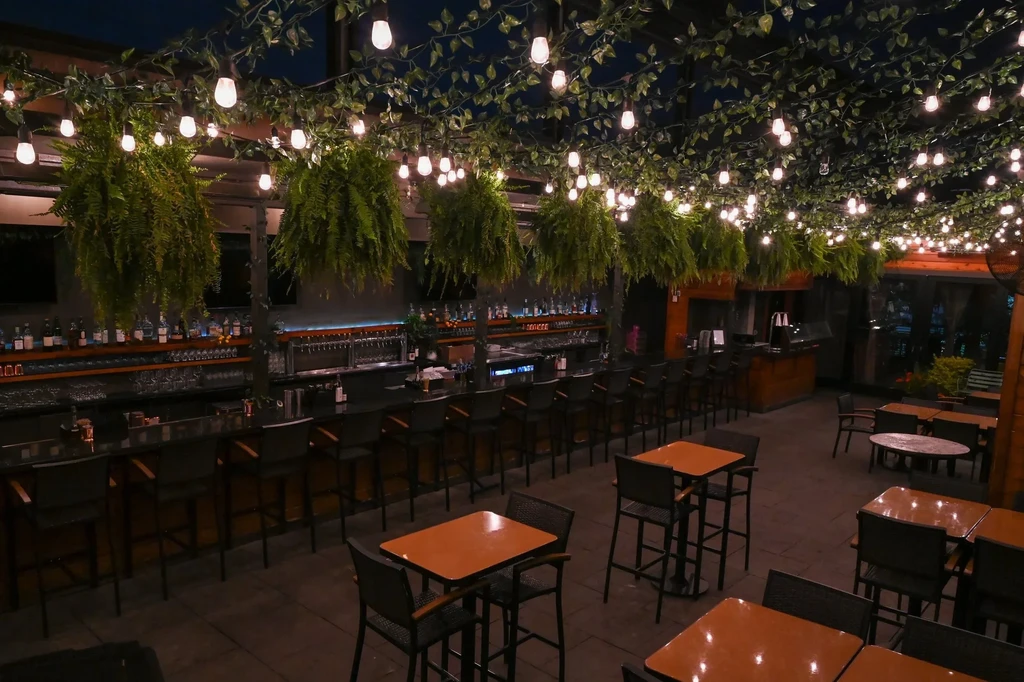 Empty restaurant patio with string lights, vines, ferns, and bar.