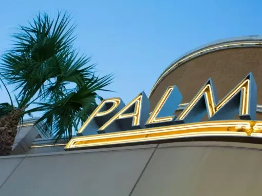 Illuminated 'PALM' sign and palm tree on a building exterior.