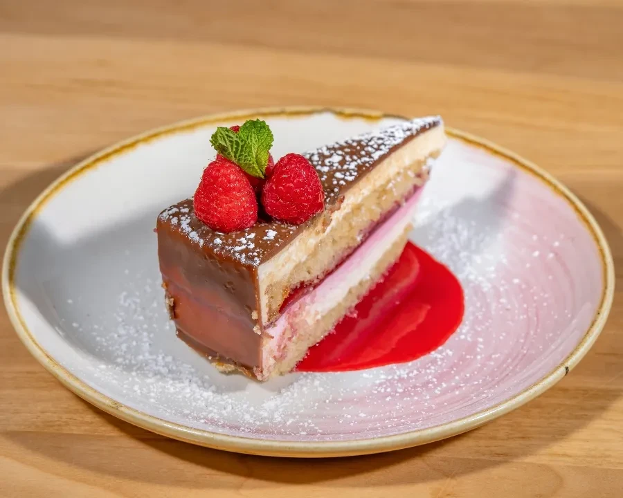 Layered raspberry cake with chocolate ganache, raspberries, mint, and sauce.