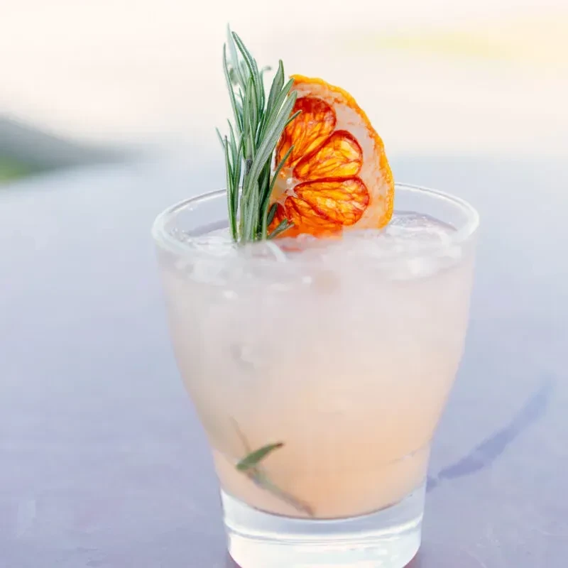 Light pink drink with ice, garnished with dried citrus and rosemary.