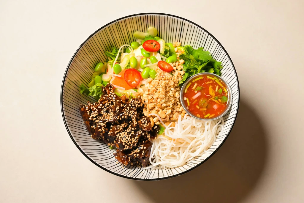 Overhead: striped bowl with noodles, sesame protein, salad, peanuts, dipping sauce.