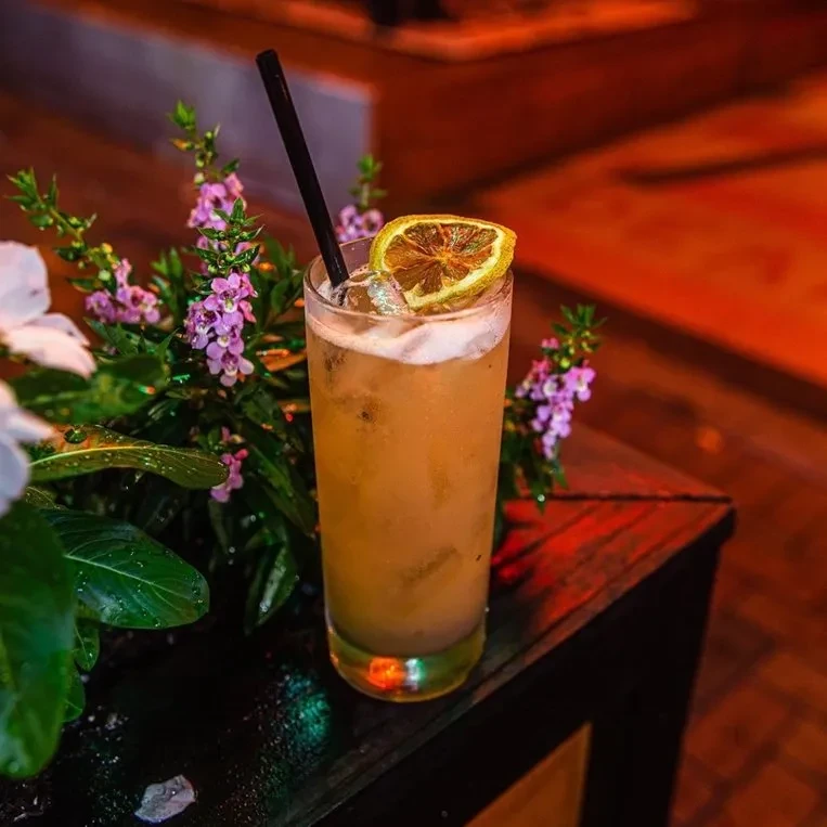 Cocktail with a foamy top, dried citrus, straw, and purple flowers.
