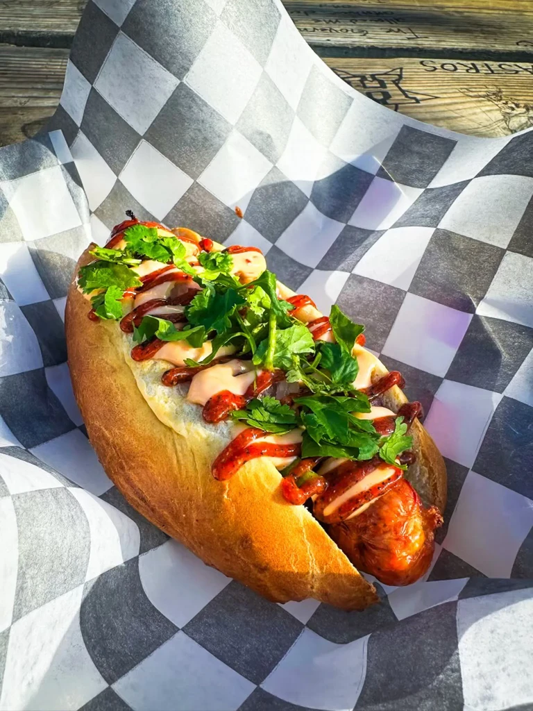 Gourmet hot dog with herbs and sauces on checkered paper.