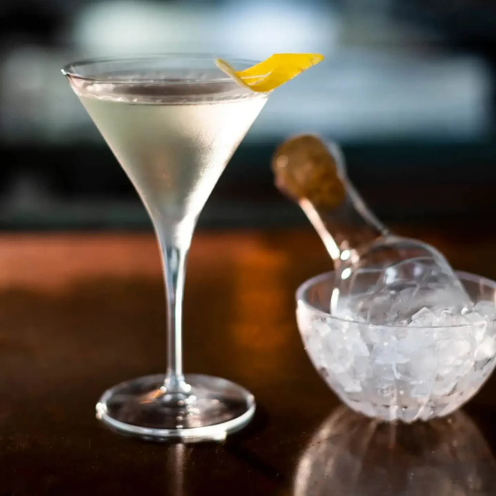 Martini glass with lemon twist, bowl of ice with scoop.