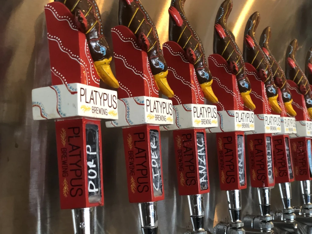 Multiple decorative tap handles for Platypus Brewing beer varieties.