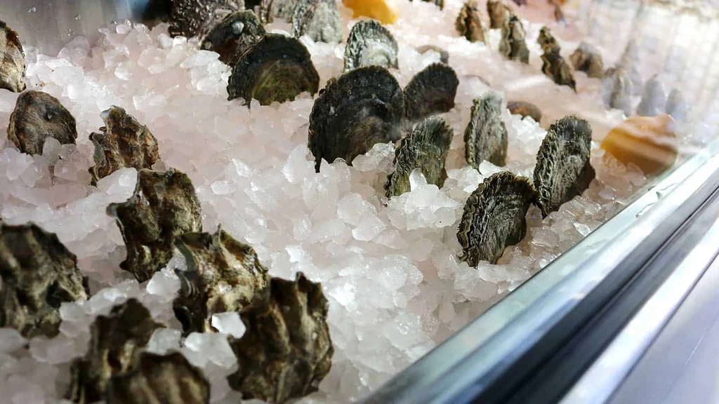 Fresh oysters with dark shells arranged on a bed of crushed ice.