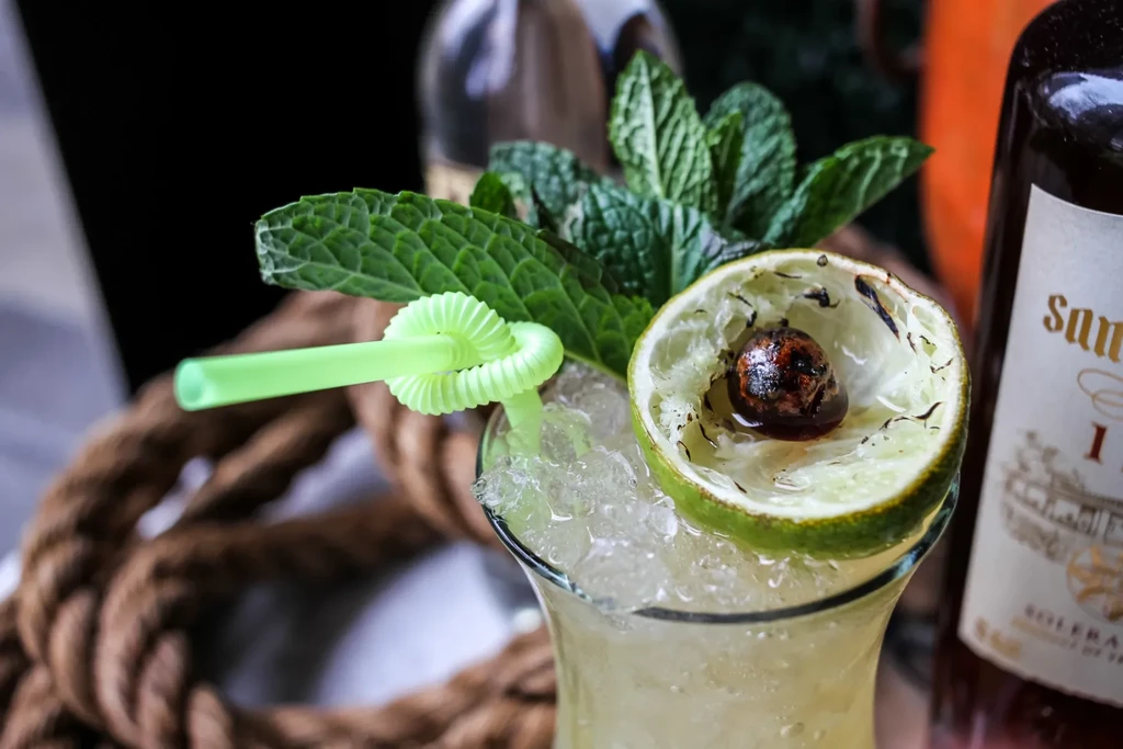 Garnished cocktail with crushed ice, mint, lime peel, and dark fruit.