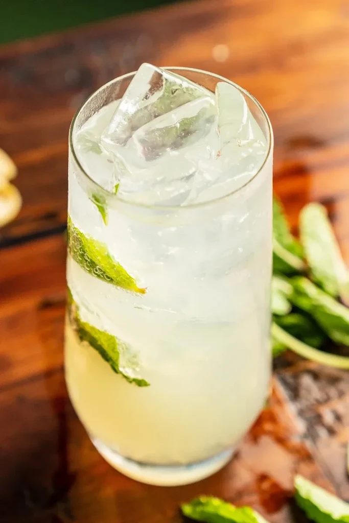 Clear glass of iced drink with fresh mint on dark wood.