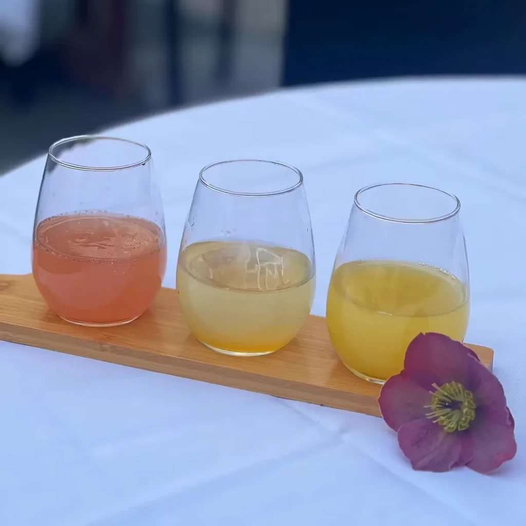 Three sparkling, colorful drinks on a wooden tray with a flower.