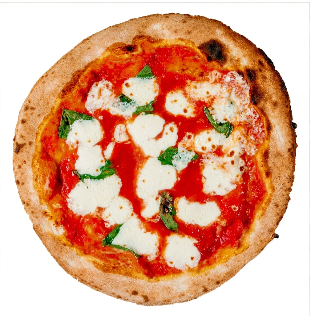Overhead Neapolitan pizza with tomato, mozzarella, basil on white background.