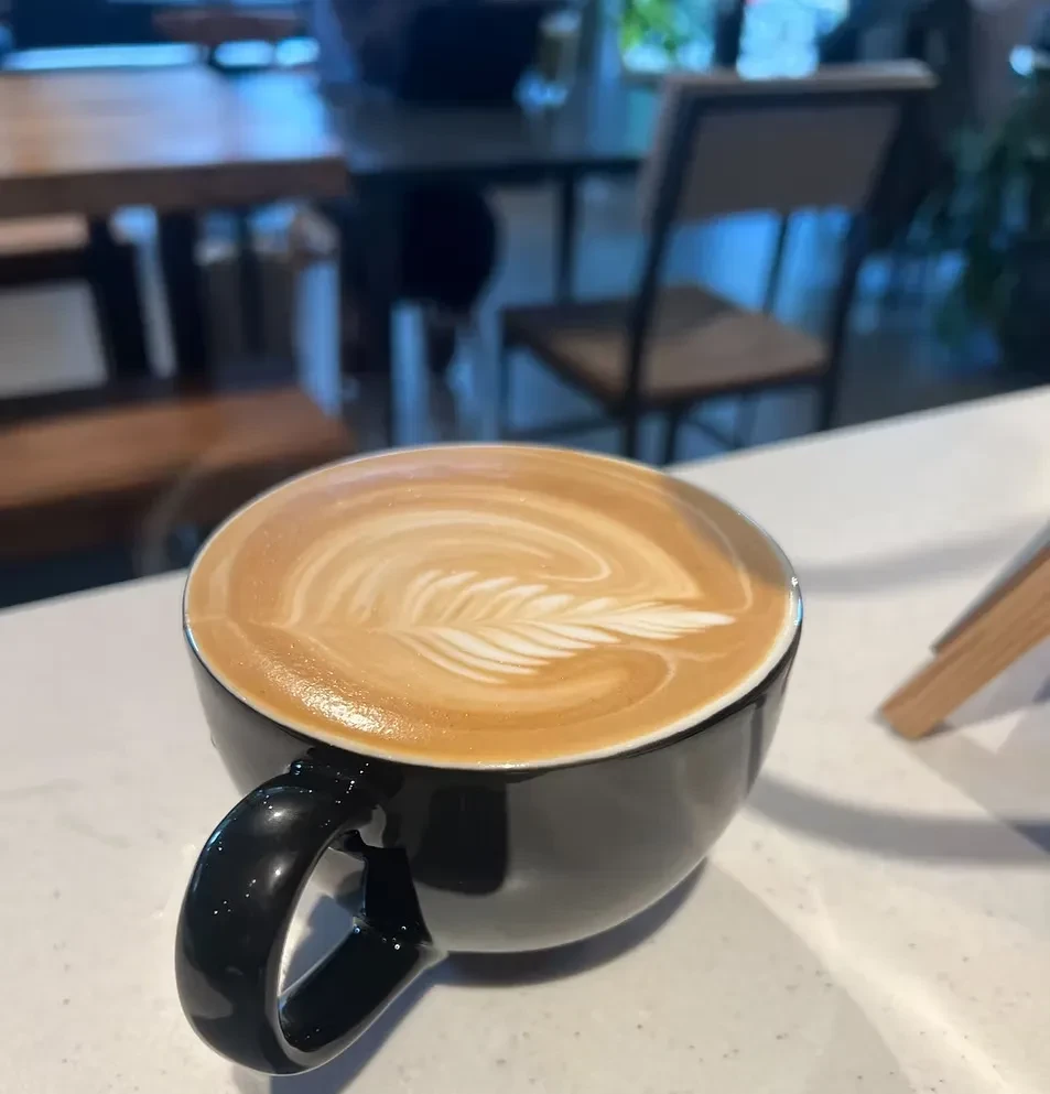 Intricate fern latte art in a black mug on a cafe counter.