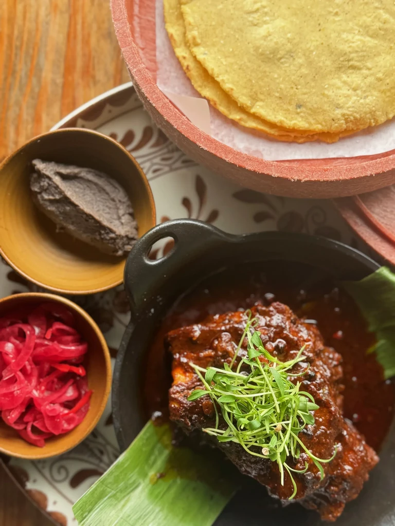 Top-down view of traditional Mexican mole, tortillas, beans, and pickled onions.