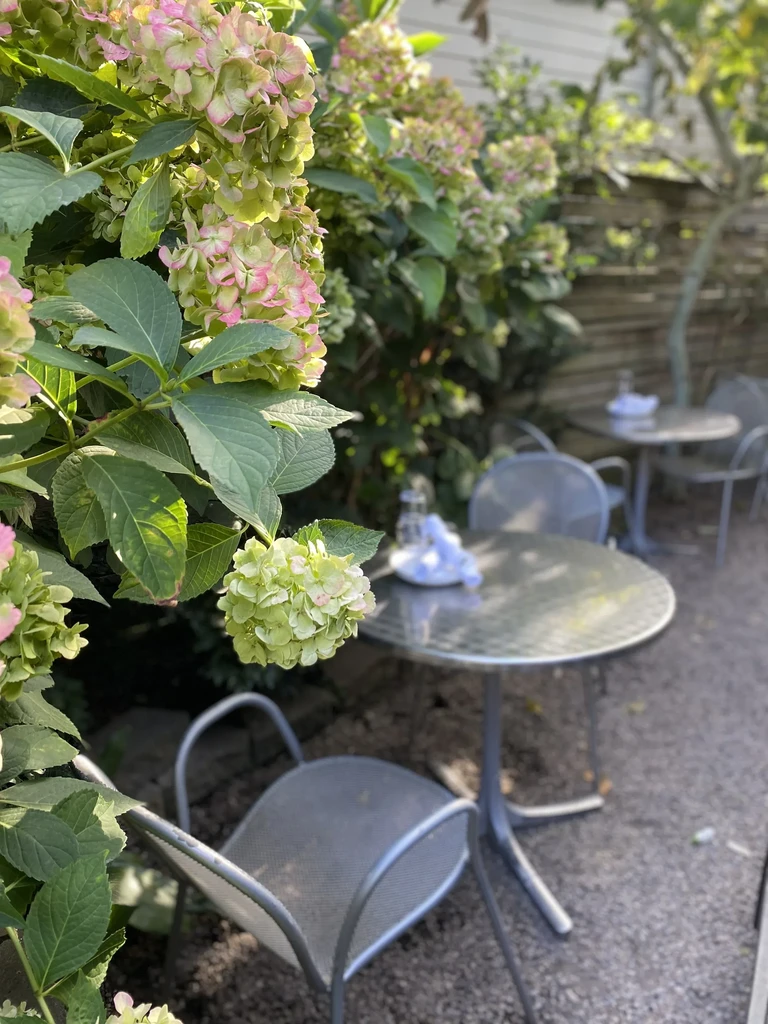 Sharply focused pink hydrangeas frame an empty outdoor dining patio.