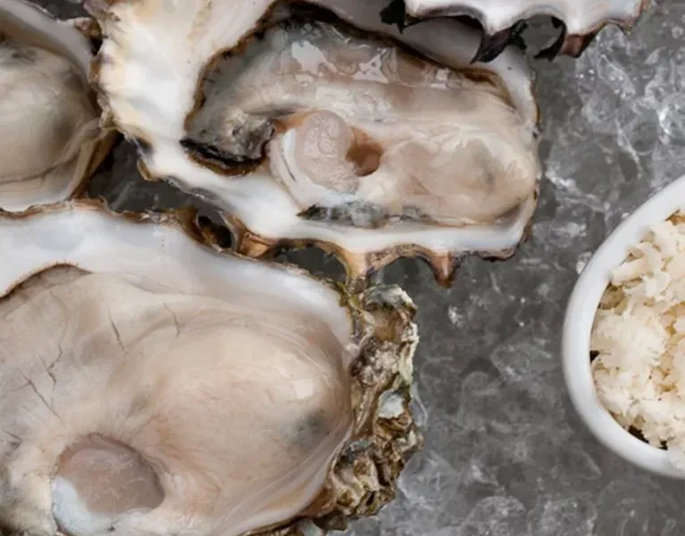 Fresh oysters on half shells, on crushed ice, with white condiment.