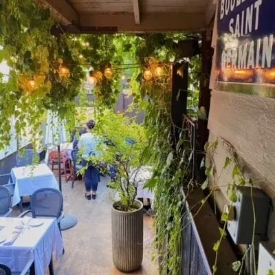 Outdoor dining area under a lush green canopy with warm string lights.