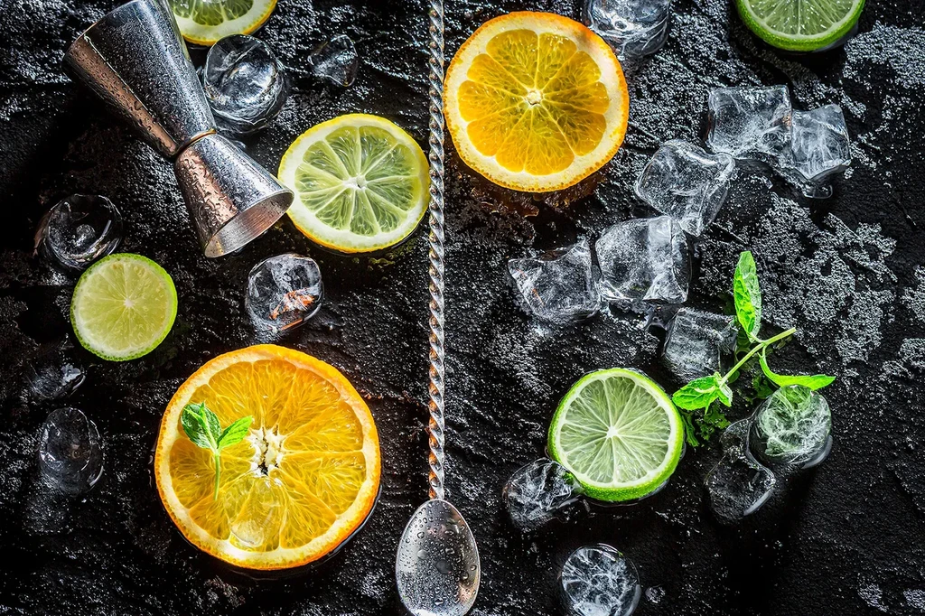 Wet citrus slices, ice, mint, jigger, and bar spoon for cocktails.