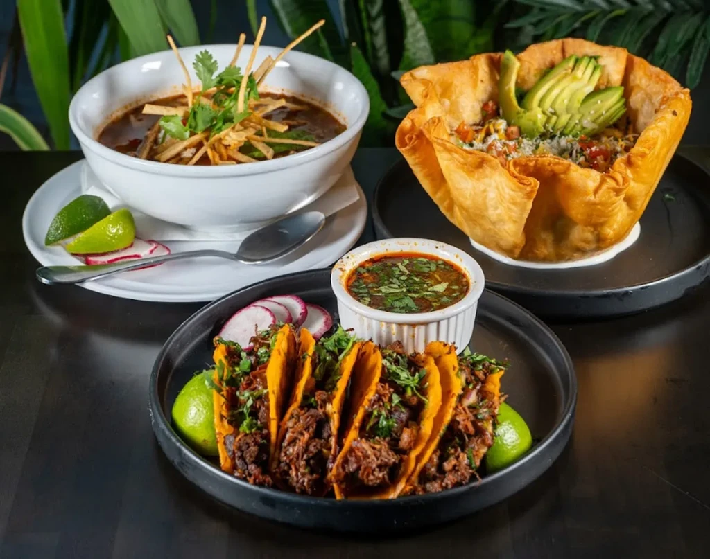 Birria tacos with consommé, tortilla soup, and a large Mexican salad.