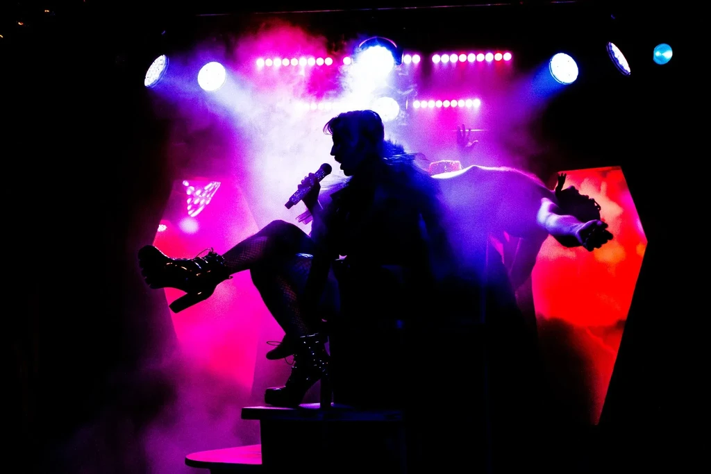 Heavily silhouetted performer sings on stage with vibrant pink and blue lights.