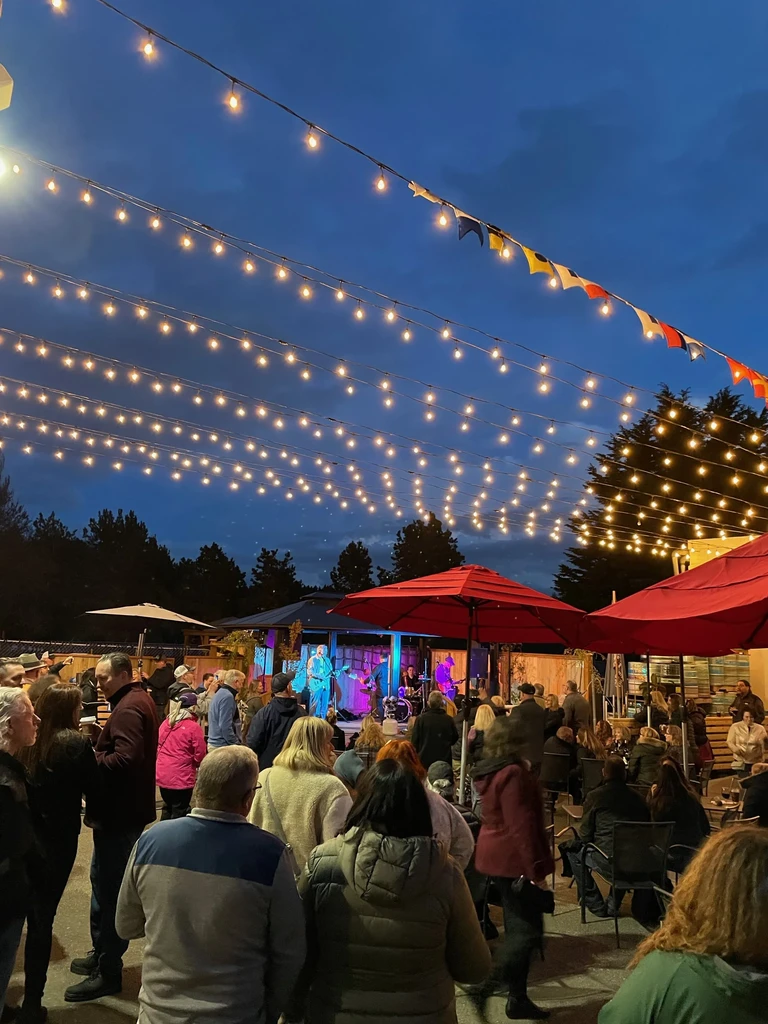 Outdoor night concert: crowd watches band under string and stage lights.