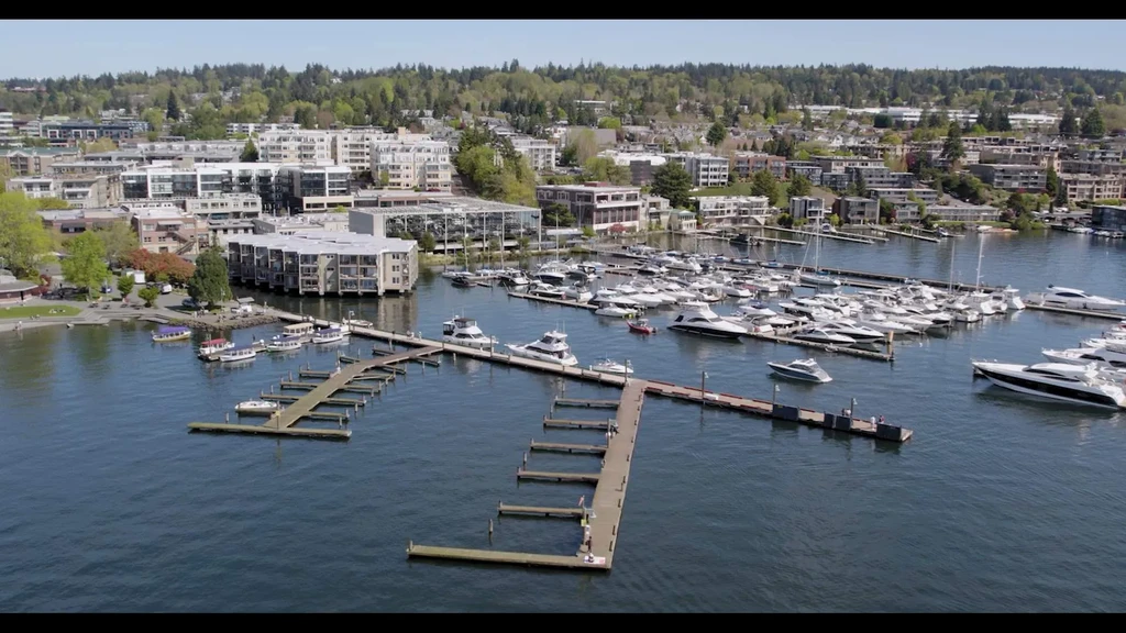 Aerial view: Sunny waterfront marina with boats, buildings, trees, and beach.