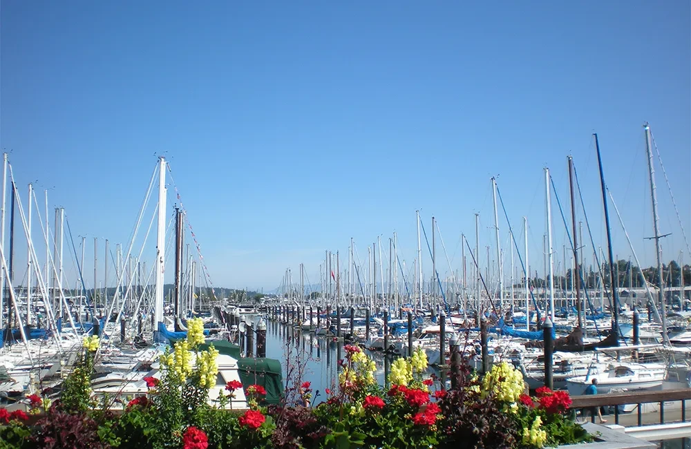 Vibrant marina with many docked sailboats and bright foreground flowers.