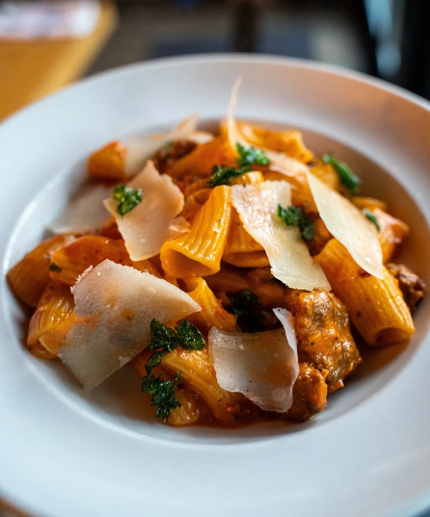 Pasta dish with tube pasta, reddish sauce, shaved cheese, and herbs.