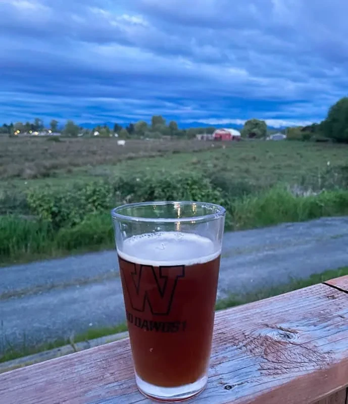 Pint glass with 'W GO DAWGS!' logo on wood, field and barn.