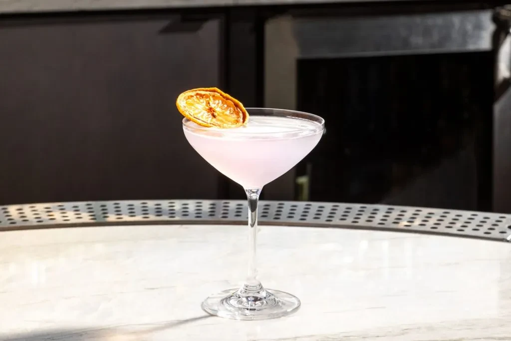 Pale pink cocktail in martini glass with dried orange slice.