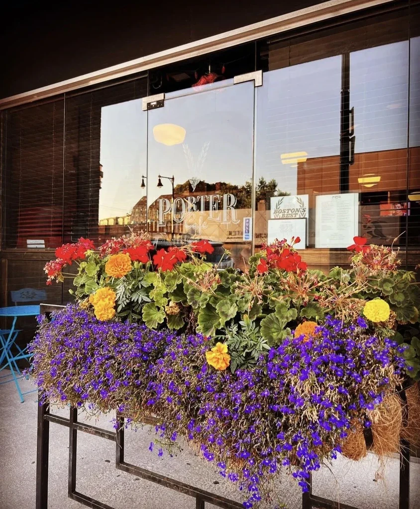 Colorful flower box with red, orange, purple flowers at Porter restaurant.