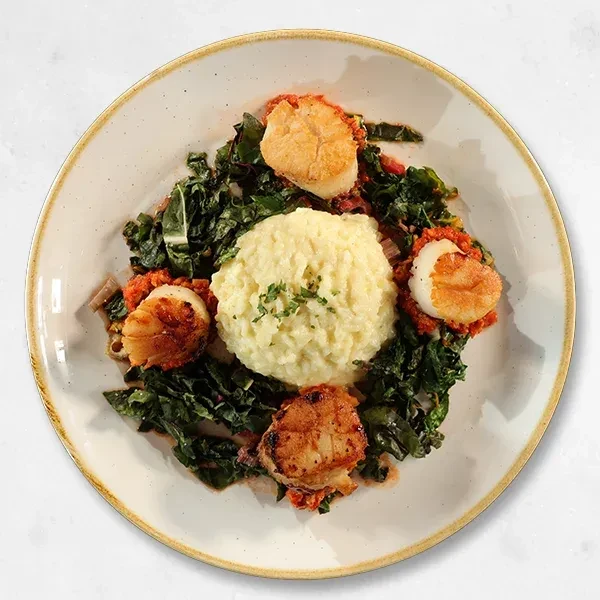 Overhead: Seared scallops, creamy risotto, greens, and reddish sauce.